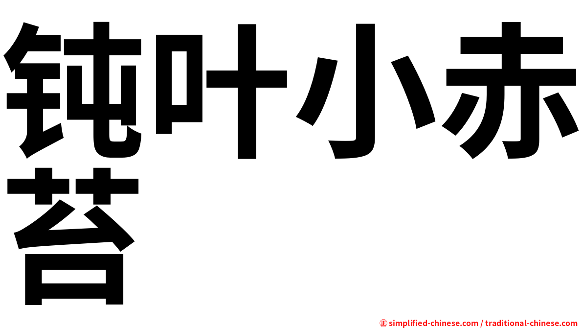 钝叶小赤苔