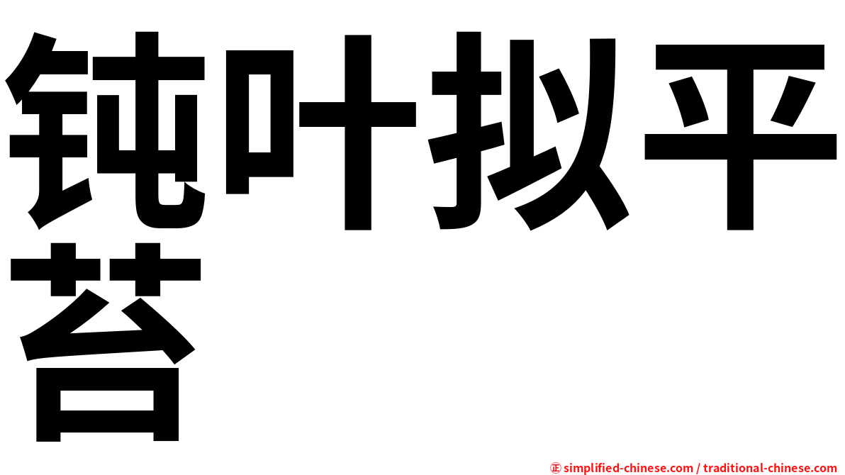 钝叶拟平苔