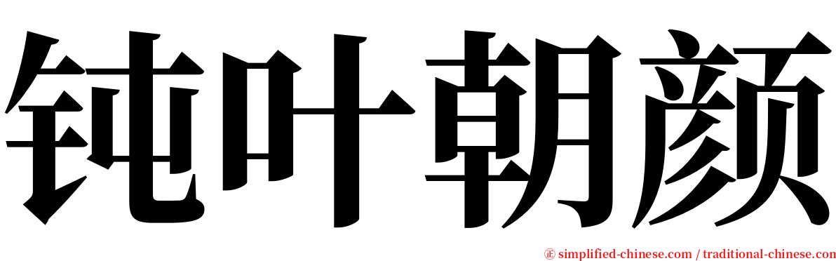 钝叶朝颜 serif font