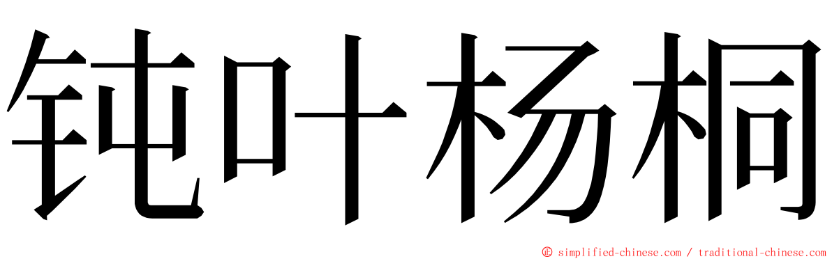 钝叶杨桐 ming font