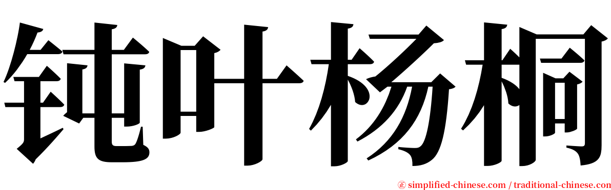 钝叶杨桐 serif font