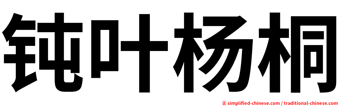 钝叶杨桐
