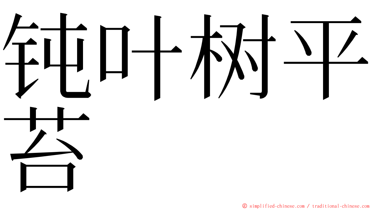 钝叶树平苔 ming font