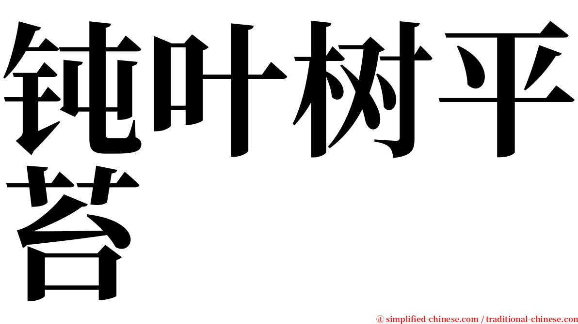 钝叶树平苔 serif font