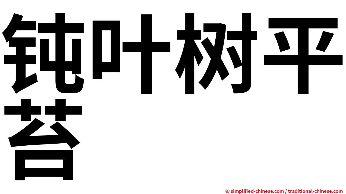 钝叶树平苔