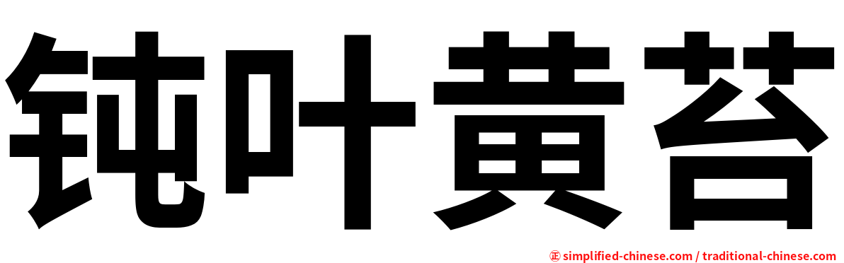 钝叶黄苔