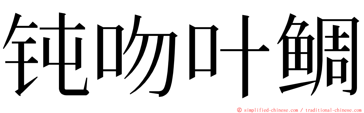 钝吻叶鲷 ming font