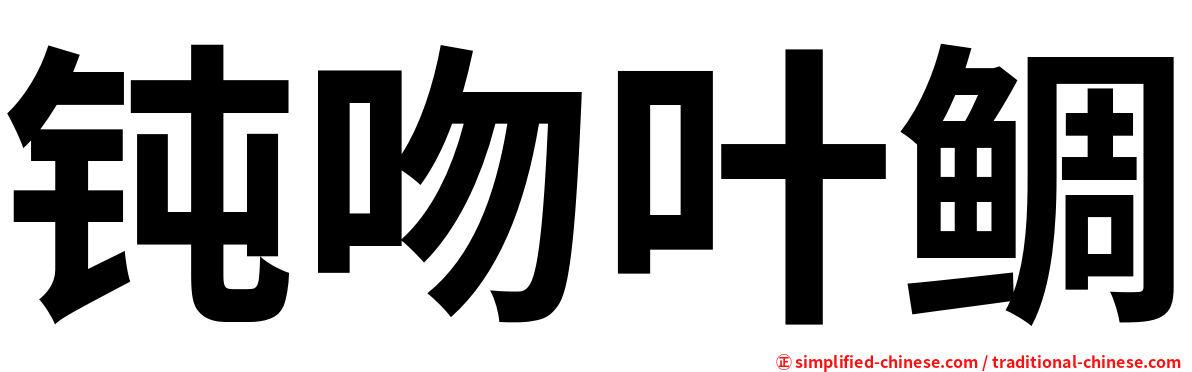 钝吻叶鲷