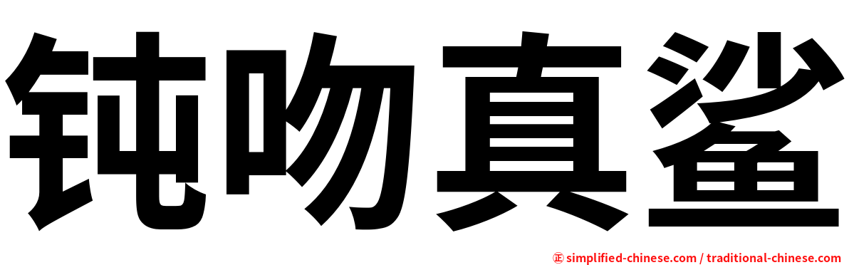 钝吻真鲨