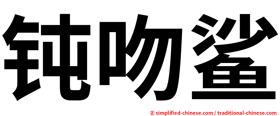 钝吻鲨