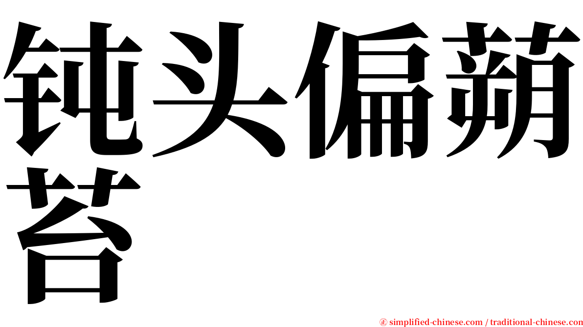 钝头偏蒴苔 serif font