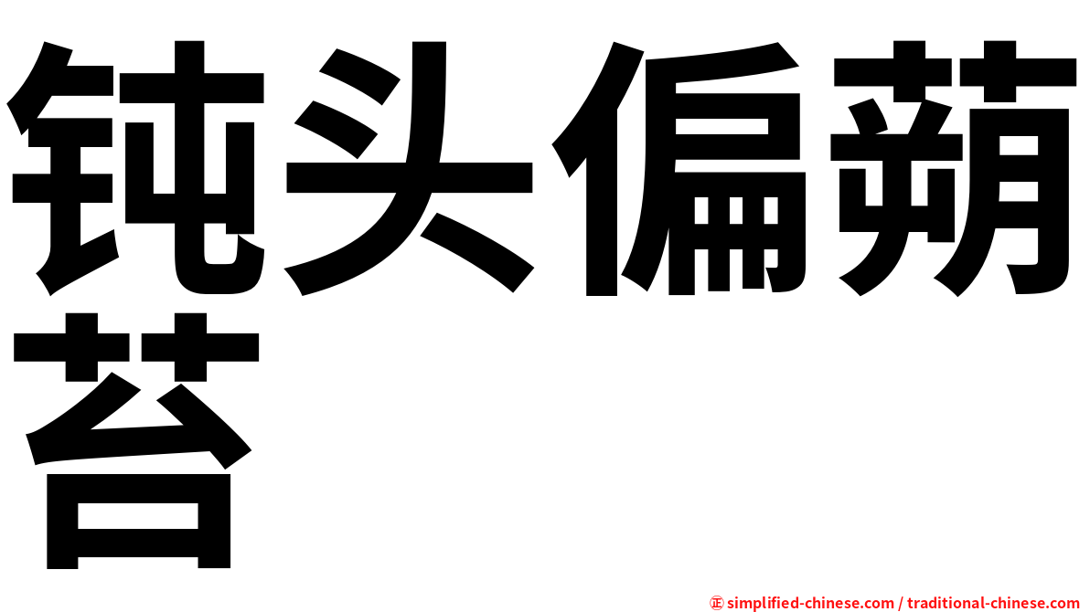 钝头偏蒴苔