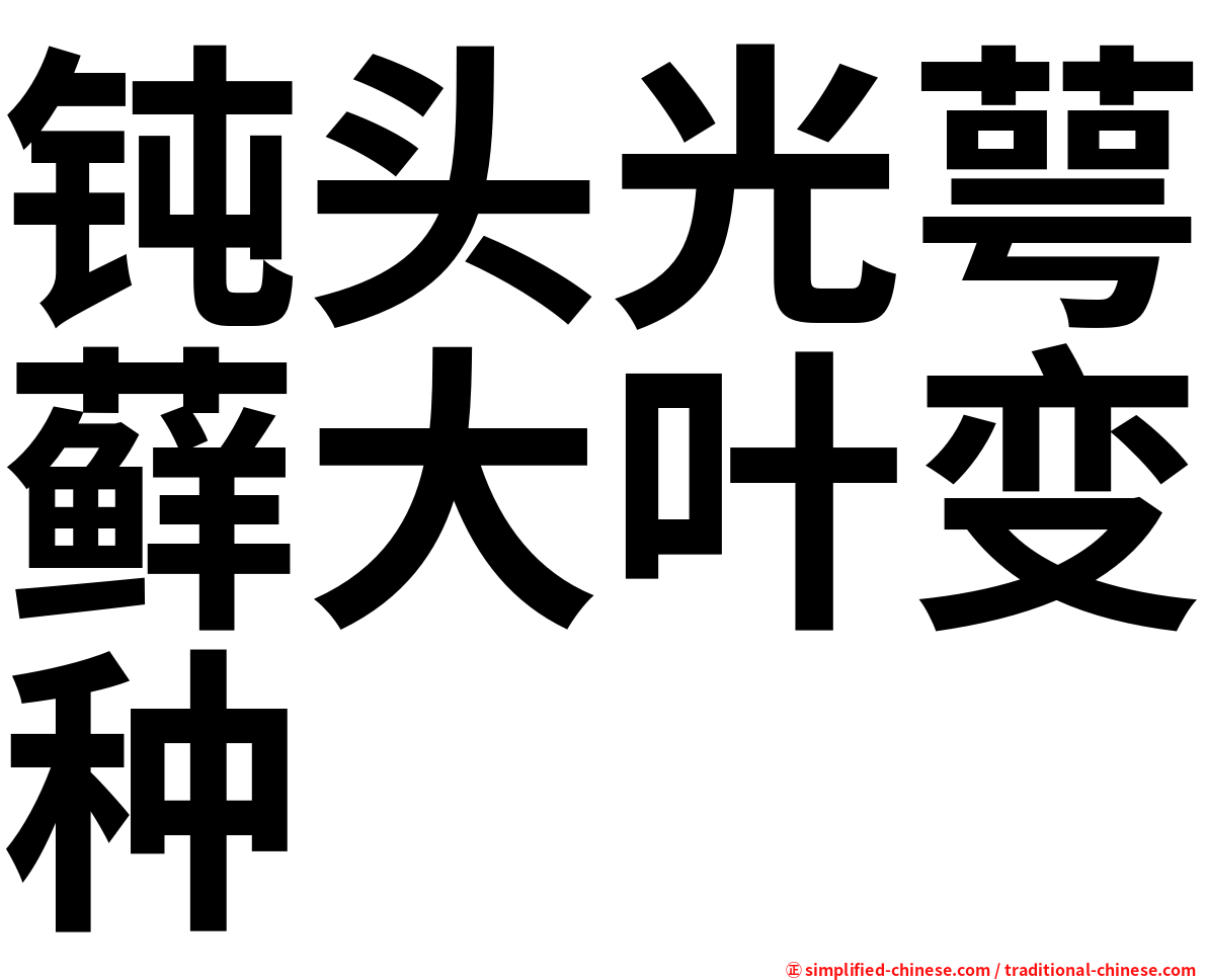 钝头光萼藓大叶变种