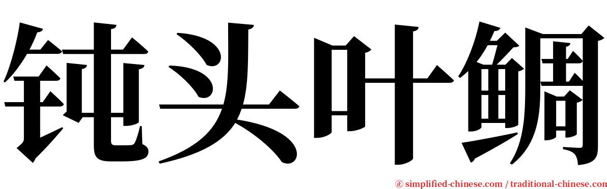 钝头叶鲷 serif font