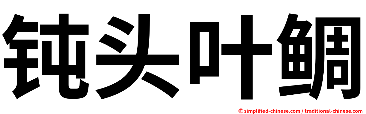 钝头叶鲷