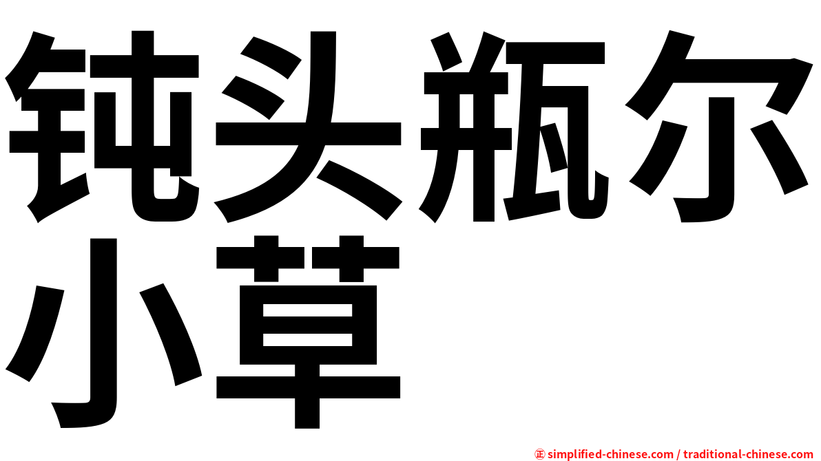 钝头瓶尔小草