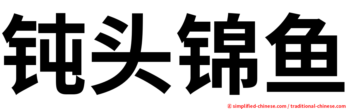 钝头锦鱼