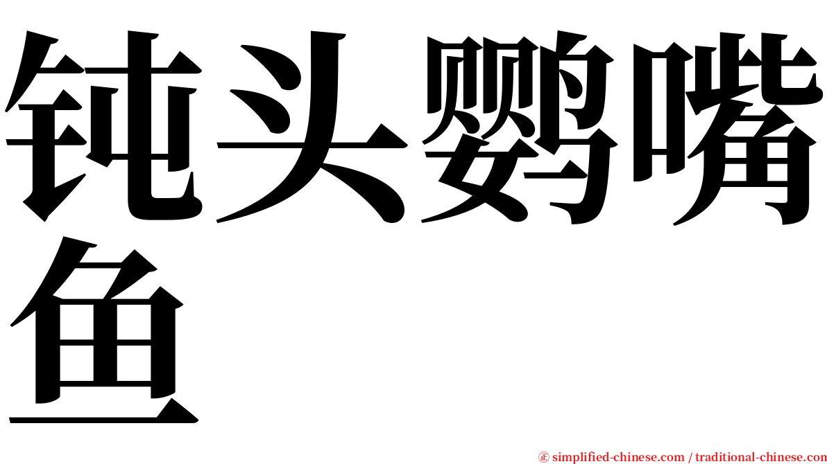 钝头鹦嘴鱼 serif font