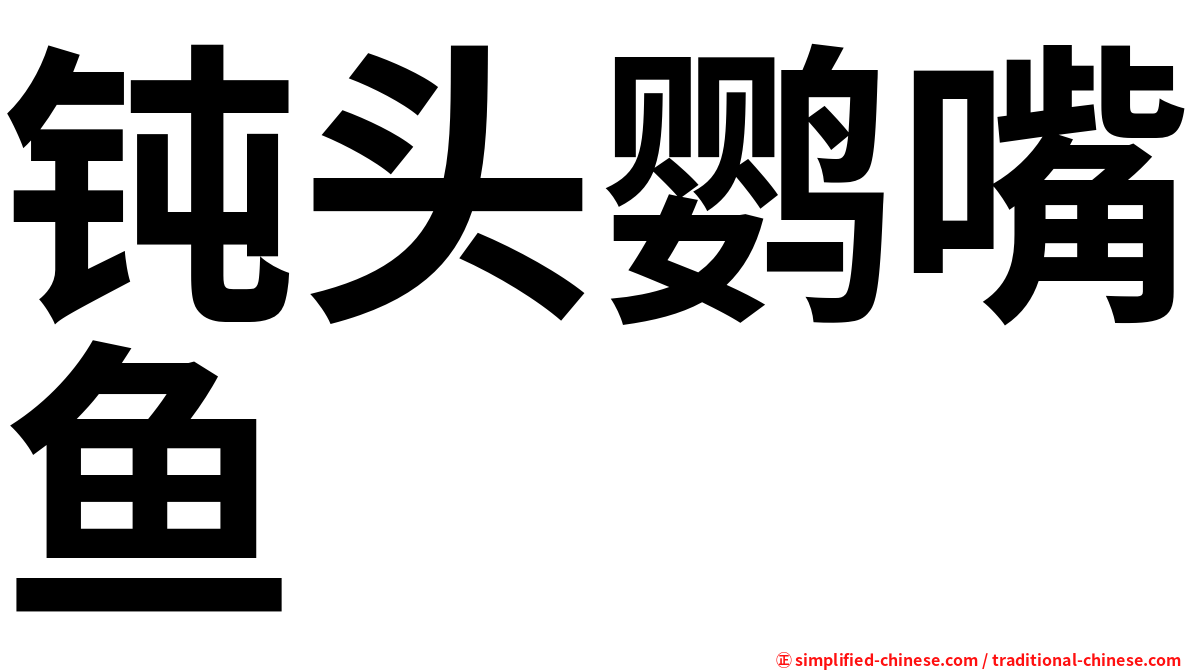 钝头鹦嘴鱼