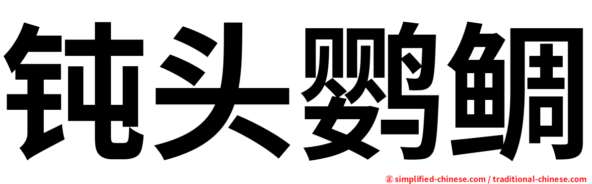 钝头鹦鲷