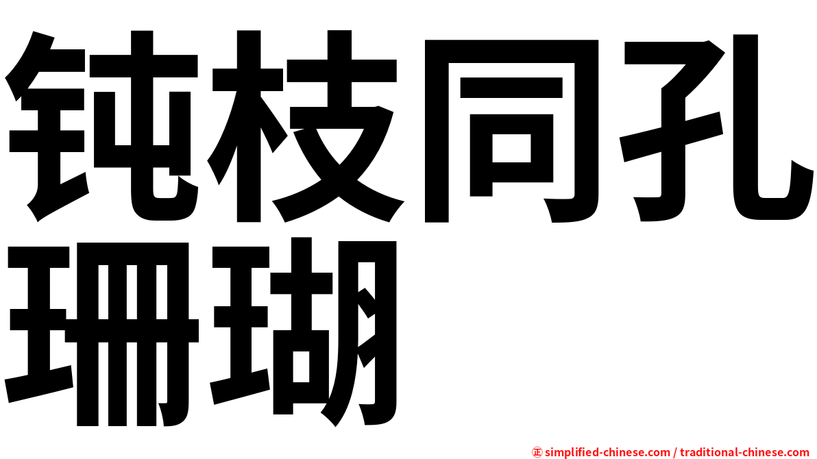 钝枝同孔珊瑚