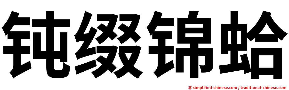 钝缀锦蛤