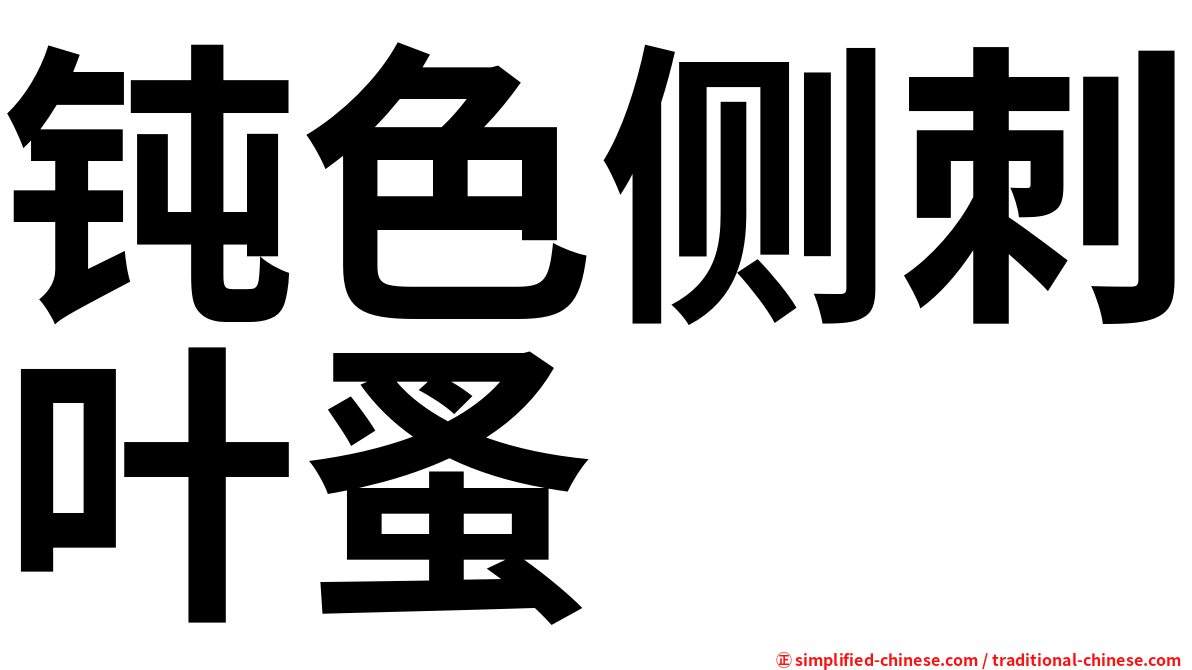 钝色侧刺叶蚤