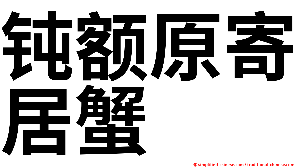 钝额原寄居蟹
