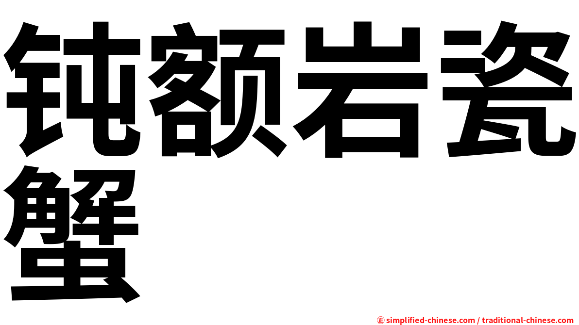 钝额岩瓷蟹