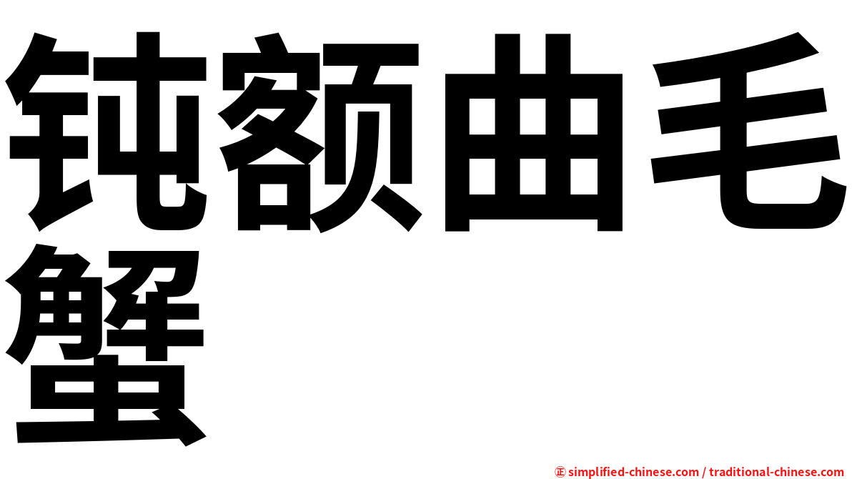 钝额曲毛蟹