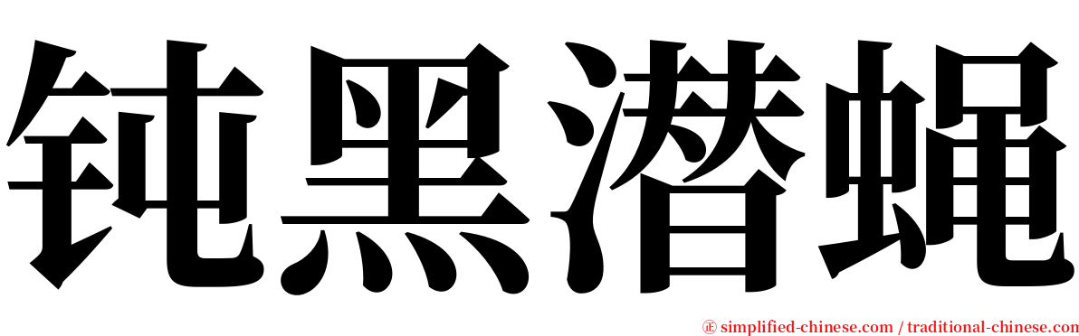 钝黑潜蝇 serif font