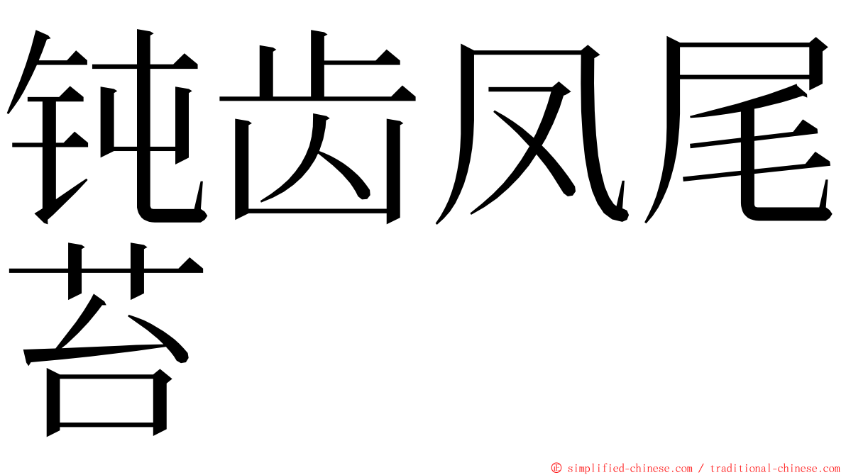 钝齿凤尾苔 ming font