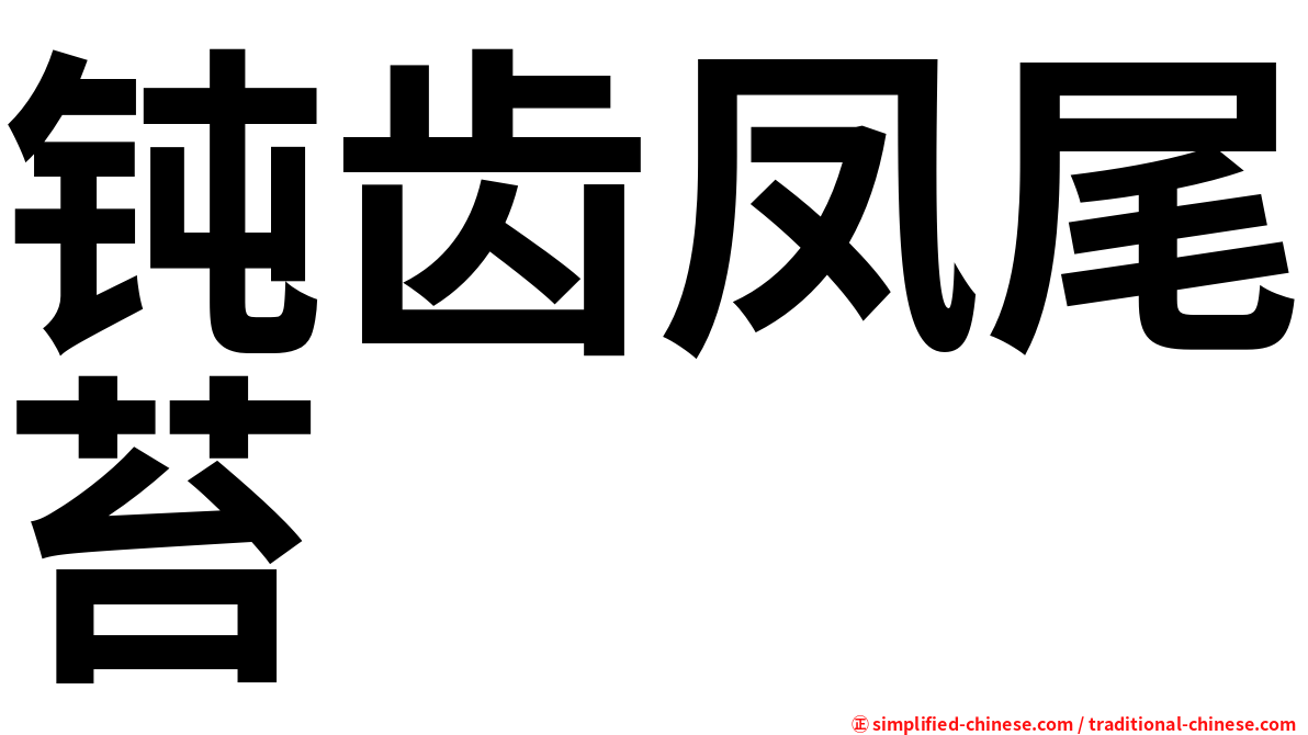 钝齿凤尾苔