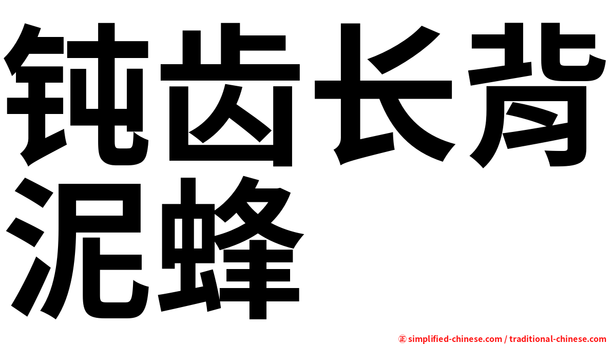 钝齿长背泥蜂