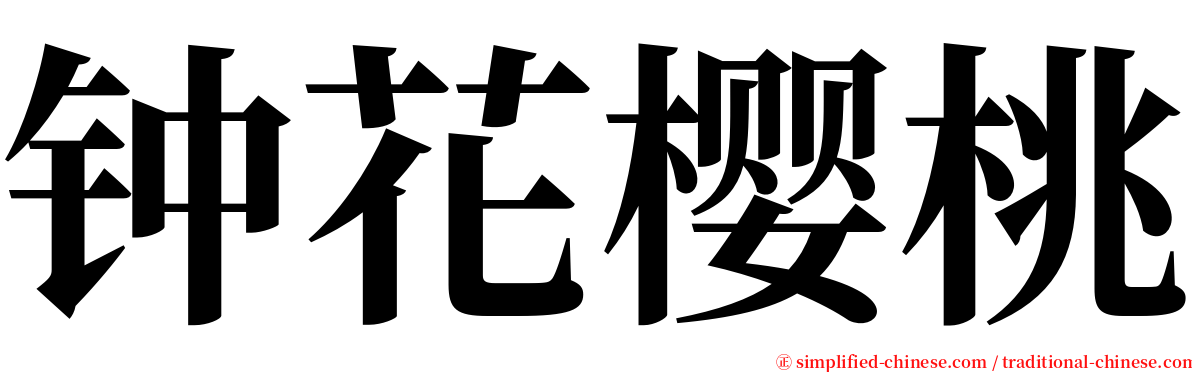 钟花樱桃 serif font