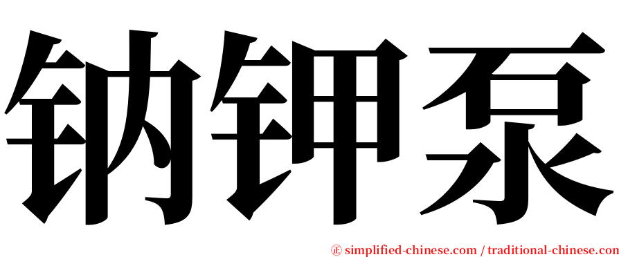 钠钾泵 serif font