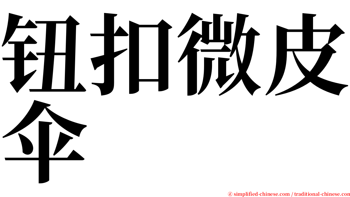 钮扣微皮伞 serif font