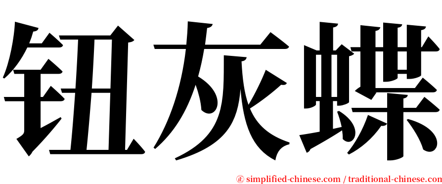 钮灰蝶 serif font