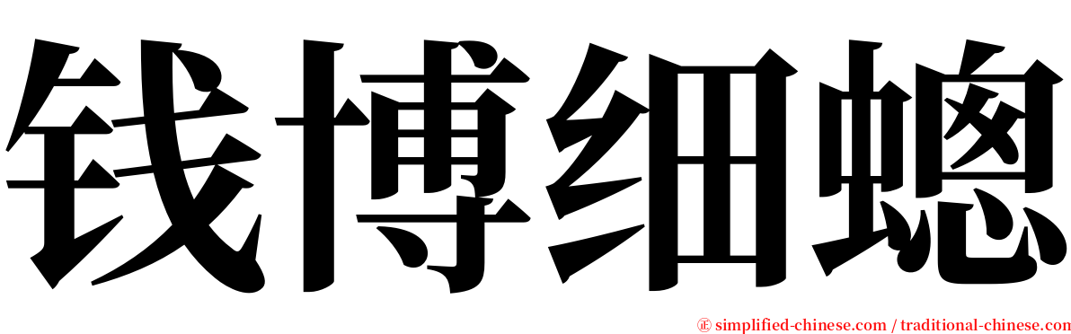 钱博细蟌 serif font
