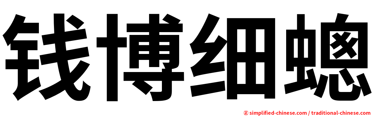 钱博细蟌