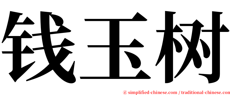 钱玉树 serif font