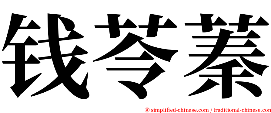钱苓蓁 serif font