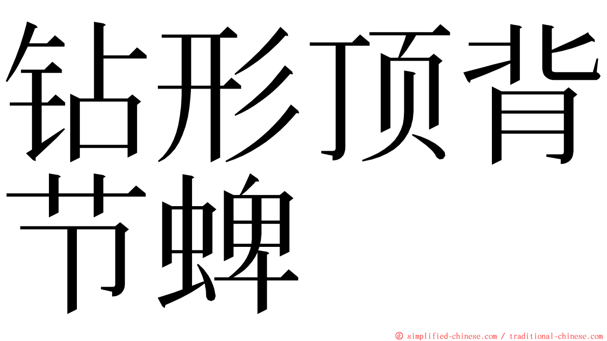 钻形顶背节蜱 ming font