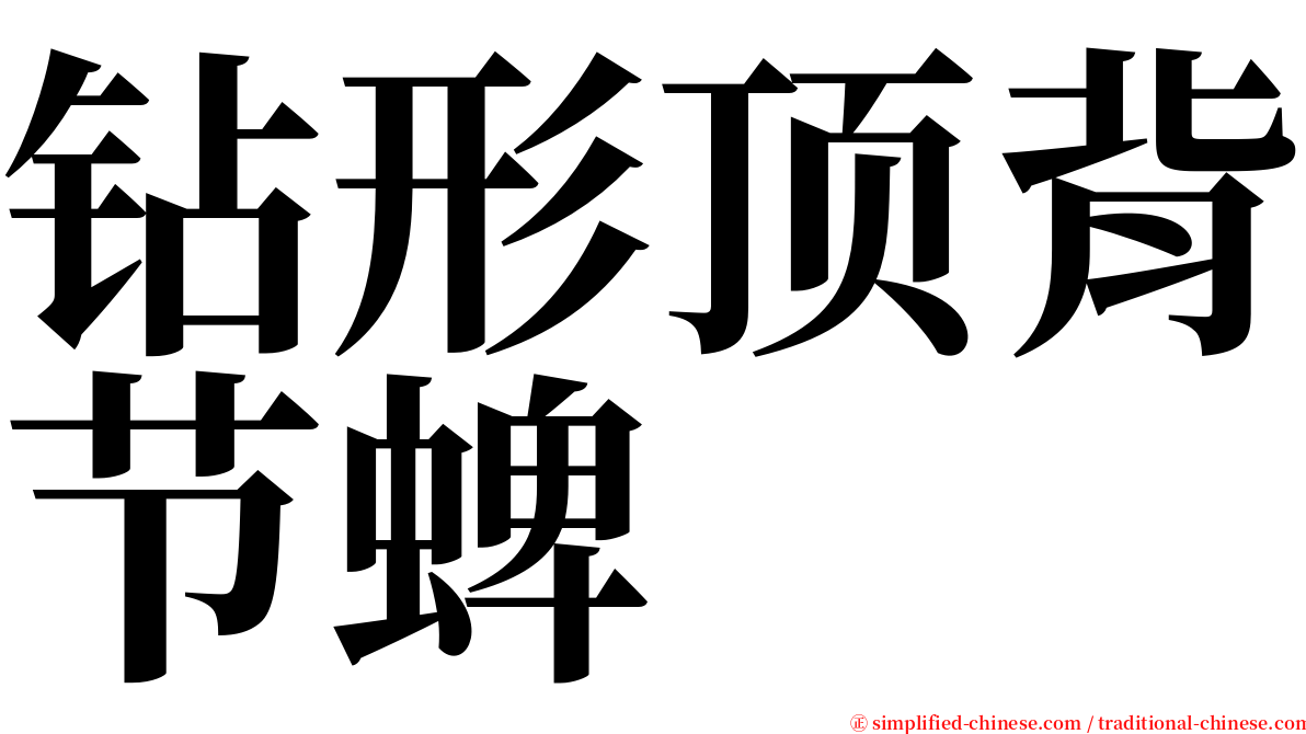 钻形顶背节蜱 serif font