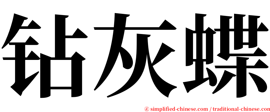 钻灰蝶 serif font