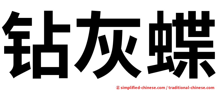 钻灰蝶