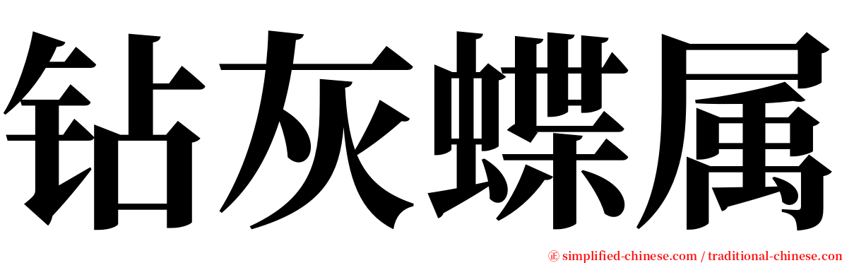 钻灰蝶属 serif font