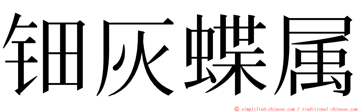 钿灰蝶属 ming font