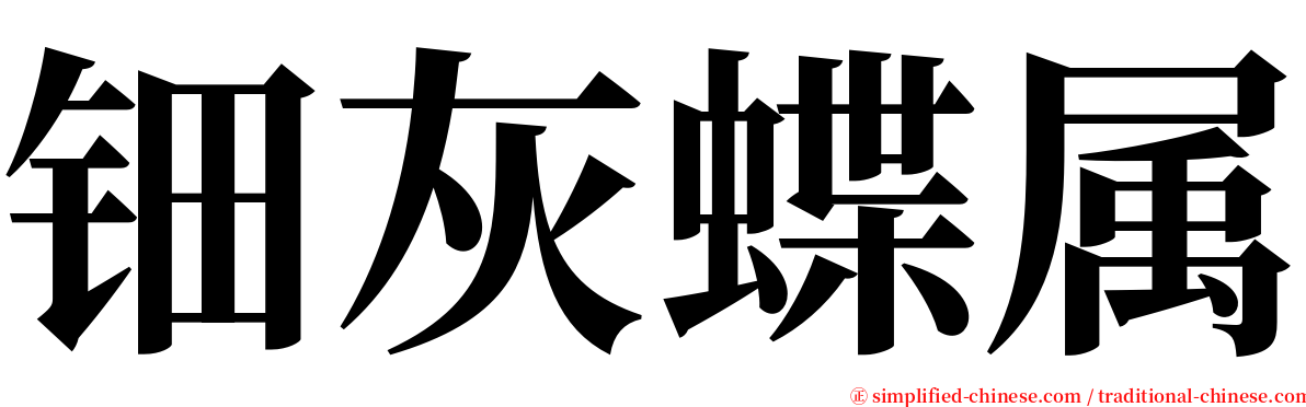 钿灰蝶属 serif font