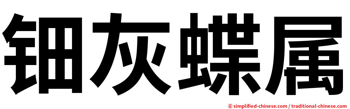钿灰蝶属